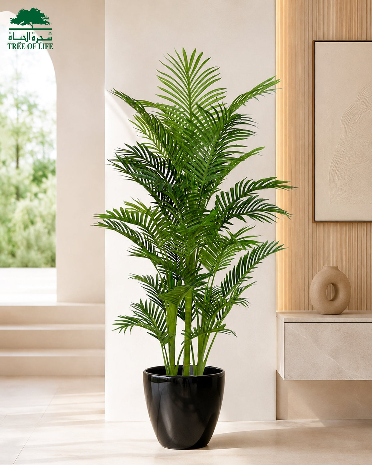 Mini Palm 150 cm with Fiber Lesuza Classic Pot – Flash Sale Tree of Life Kuwait