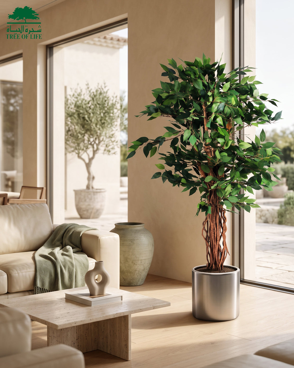 Mini Ficus Tree of Life Kuwait