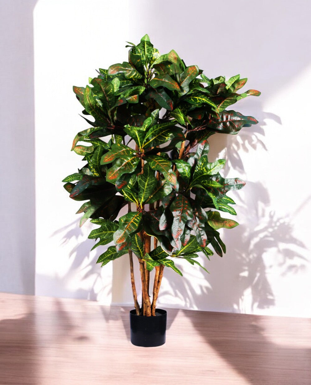 CROTON PETRA 120cm 18443(b)