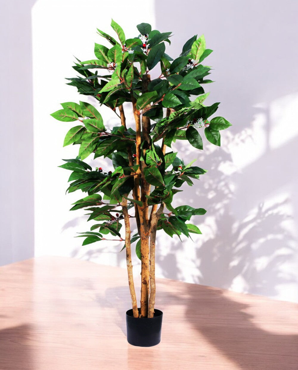 COFFEE ARABICA 120cm 18446(a)