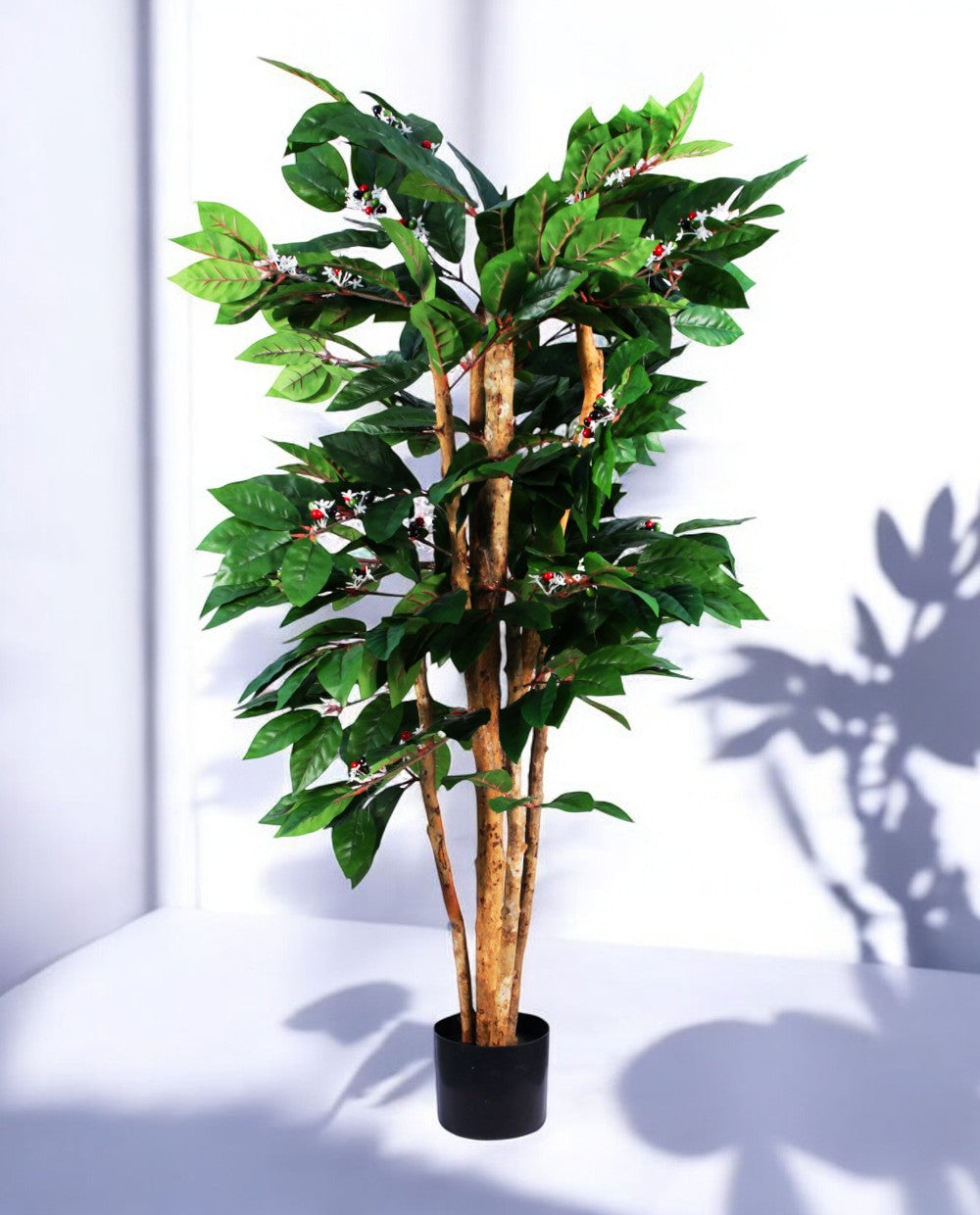 COFFEE ARABICA 120cm 18446(b) (2)