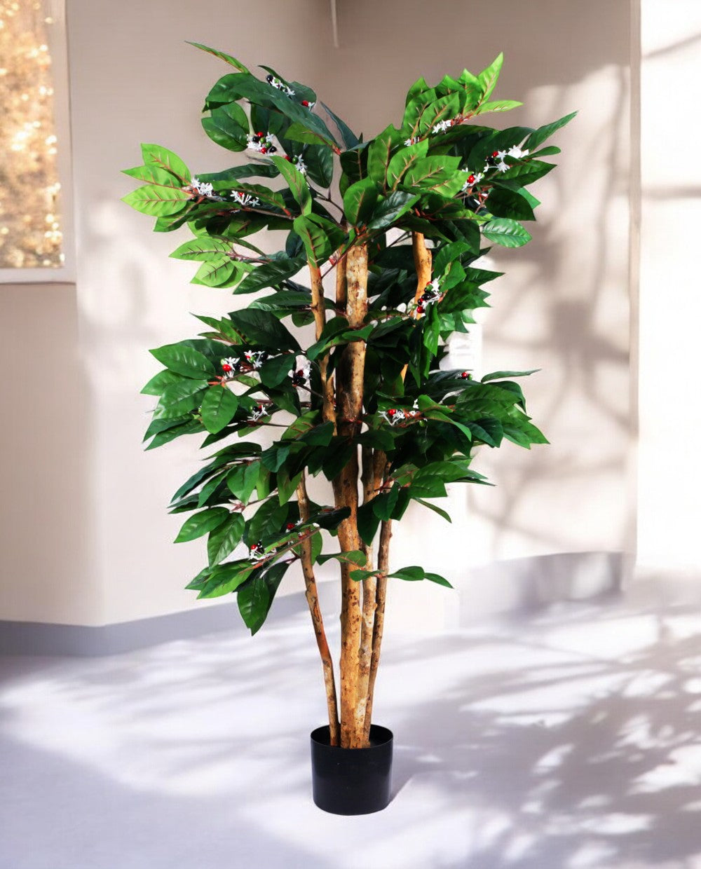 COFFEE ARABICA 120cm 18446(b) (3)