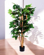 COFFEE ARABICA 120cm 18446(b)
