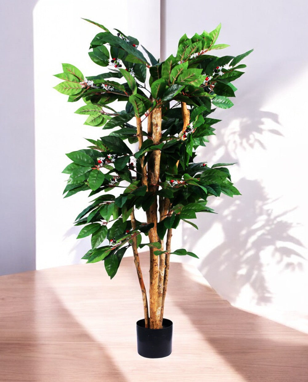 COFFEE ARABICA 120cm 18446(b)