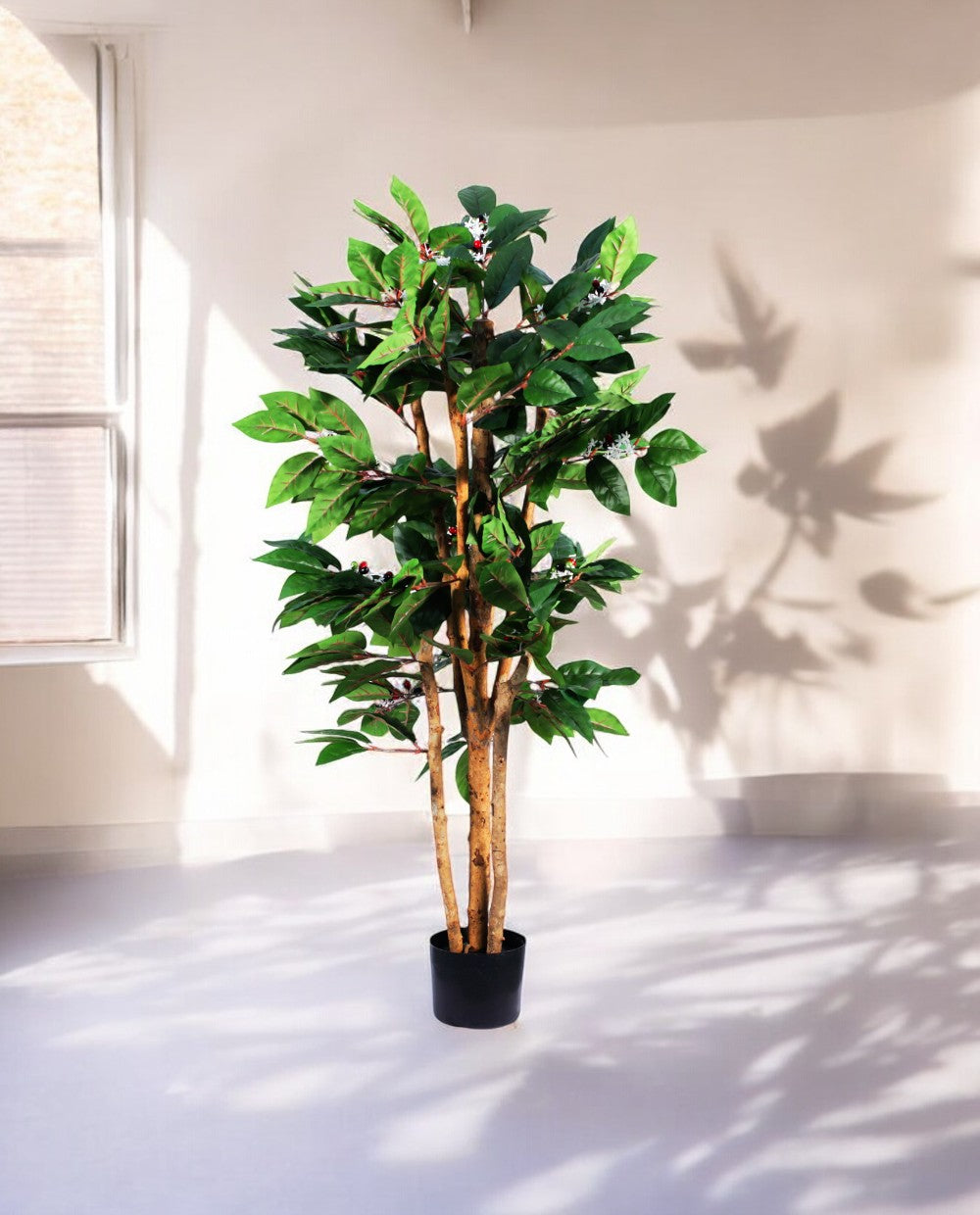 COFFEE ARABICA 120cm 18446(c) (3)