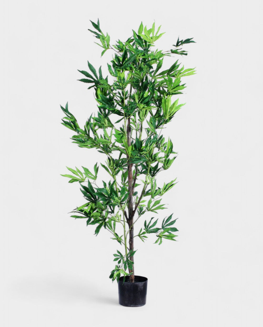 MARIJUANA TREE 180cm 19317(b) (3)