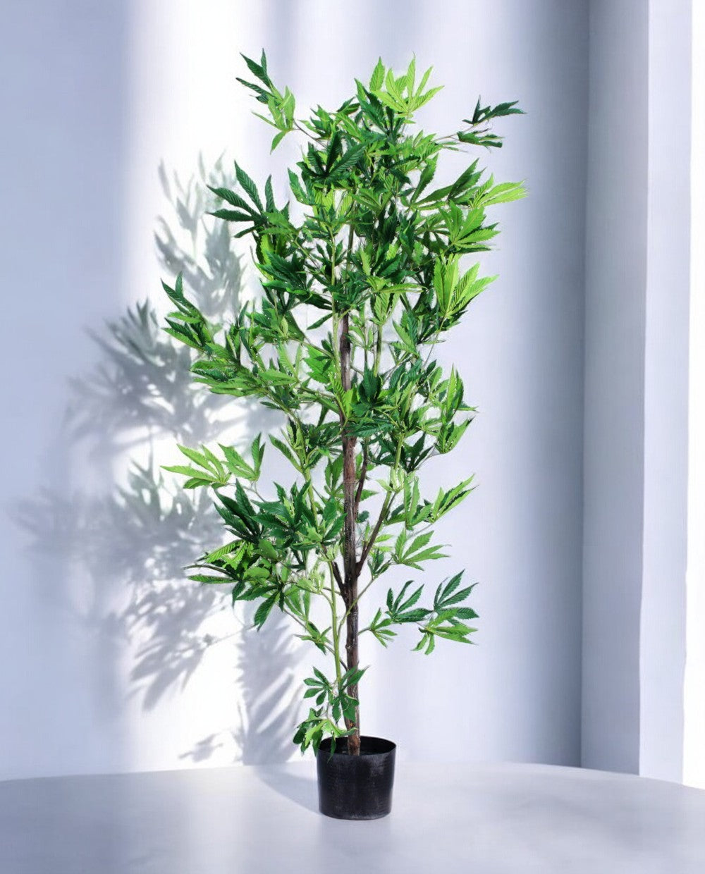 MARIJUANA TREE 180cm 19317(b)