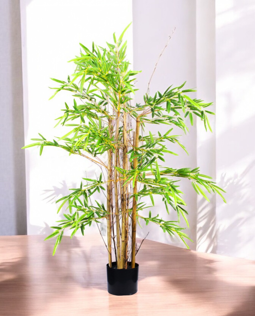 CHINESE BAMBOO 120cm 19543(a)