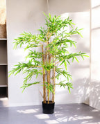 CHINESE BAMBOO 120cm 19543(b) (3)