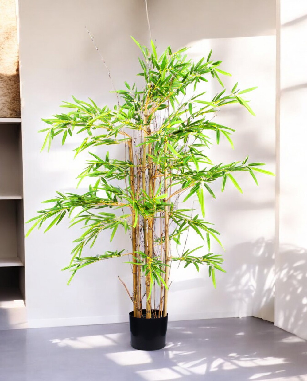 CHINESE BAMBOO 120cm 19543(b) (3)