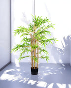 CHINESE BAMBOO 120cm 19543(c) (2)