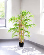 CHINESE BAMBOO 120cm 19543(c) (3)