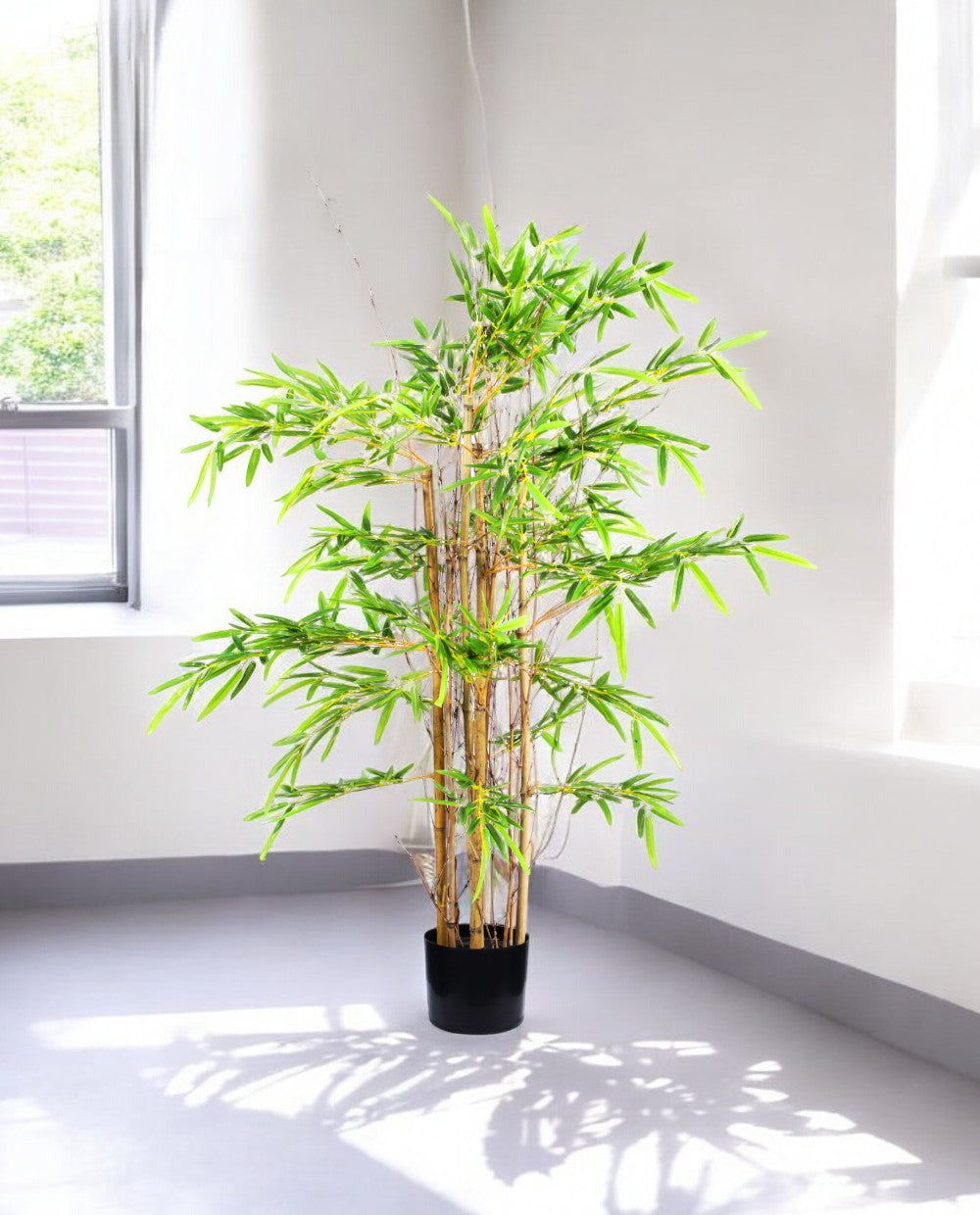 CHINESE BAMBOO 120cm 19543(c) (3)