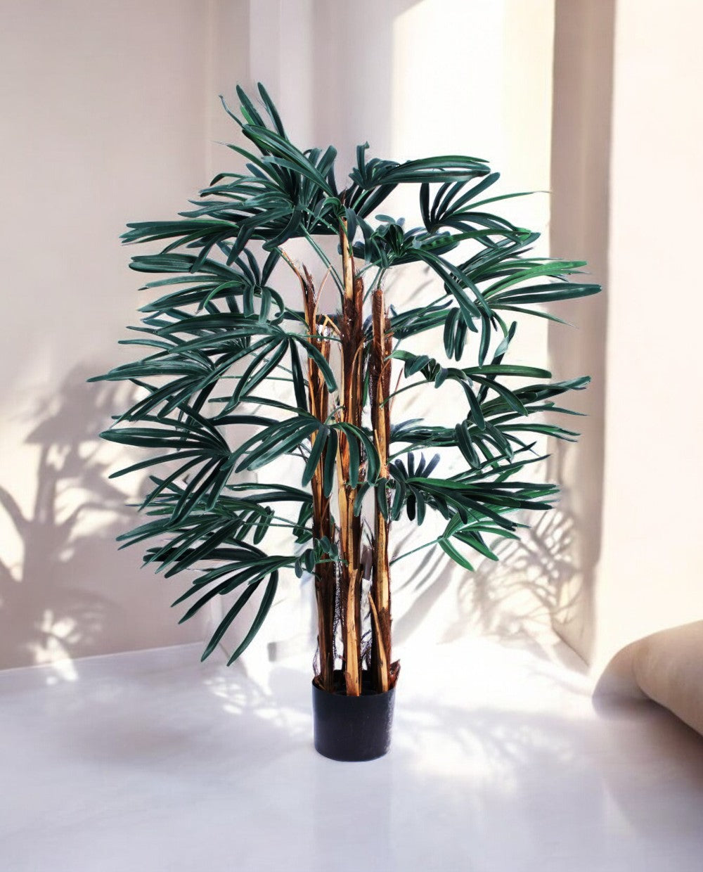 RHAPIS PALM 120cm 19326(a) (2)