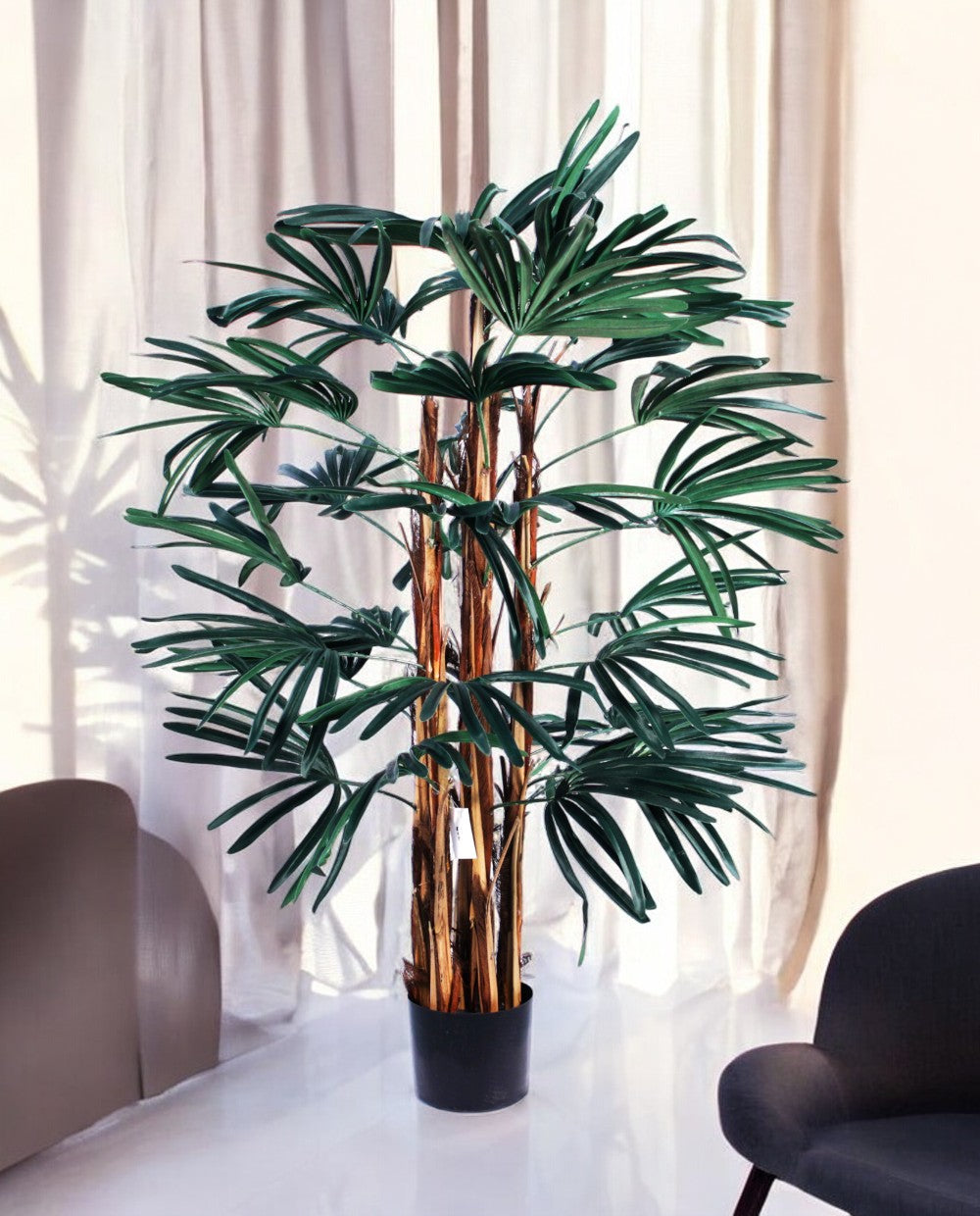RHAPIS PALM 120cm 19326(b) (2)