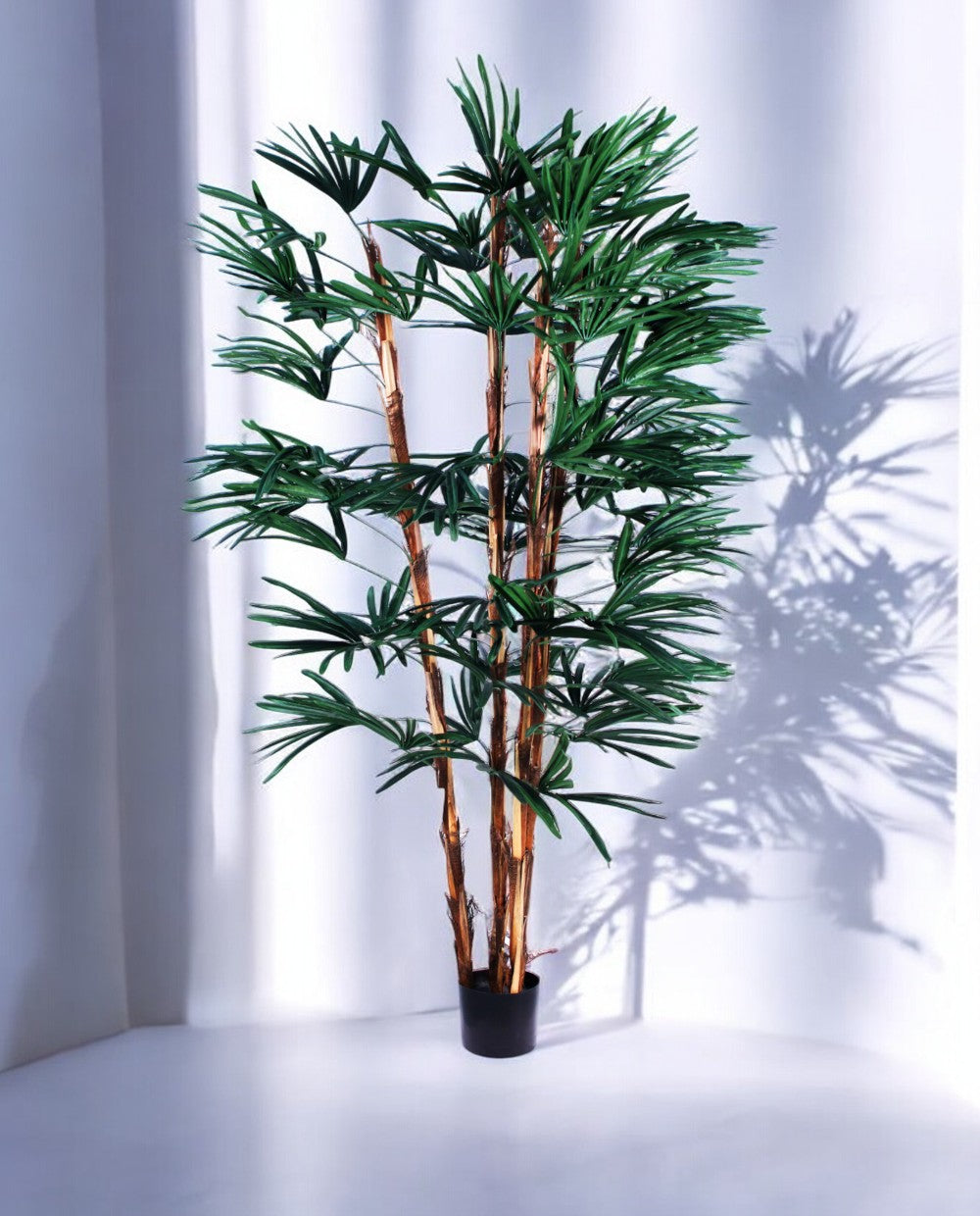 RHAPIS PALM 180cm 19331(a)