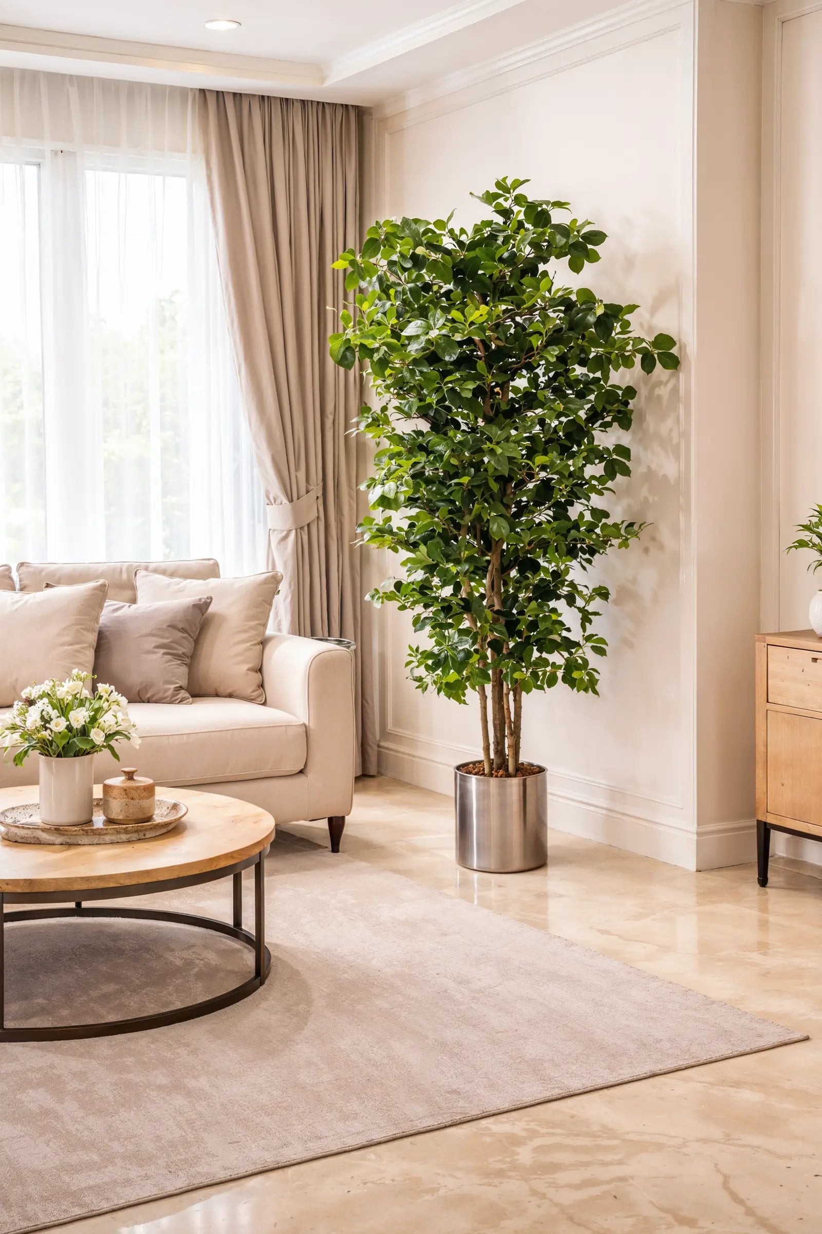 Orient Ficus 180cm artificial tree with natural preserved root base by Tree of Life Kuwait