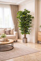 Orient Ficus 180cm artificial tree with natural preserved root base by Tree of Life Kuwait