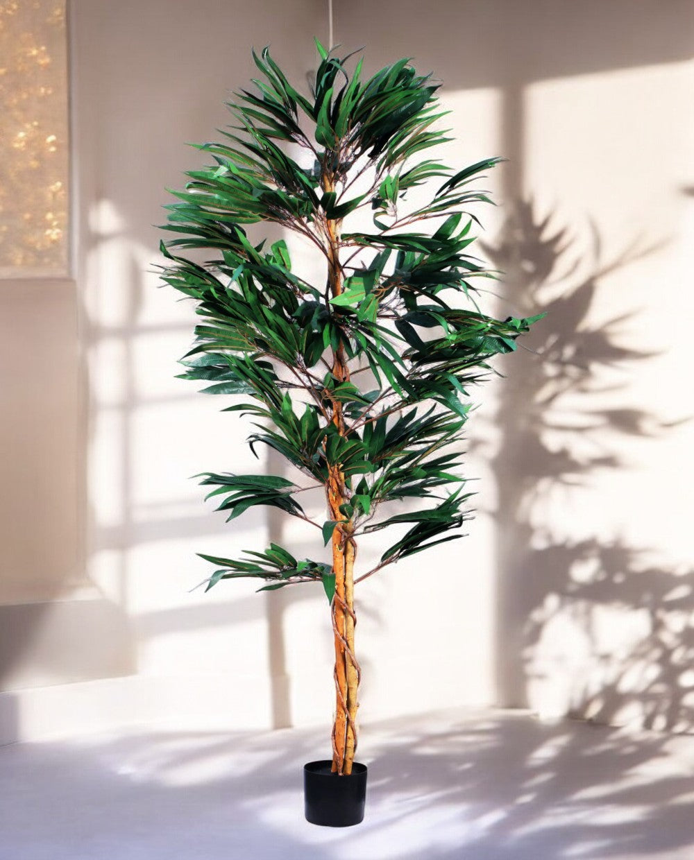 FICUS LONGIFOLIA 150cm 18456(b) (3)