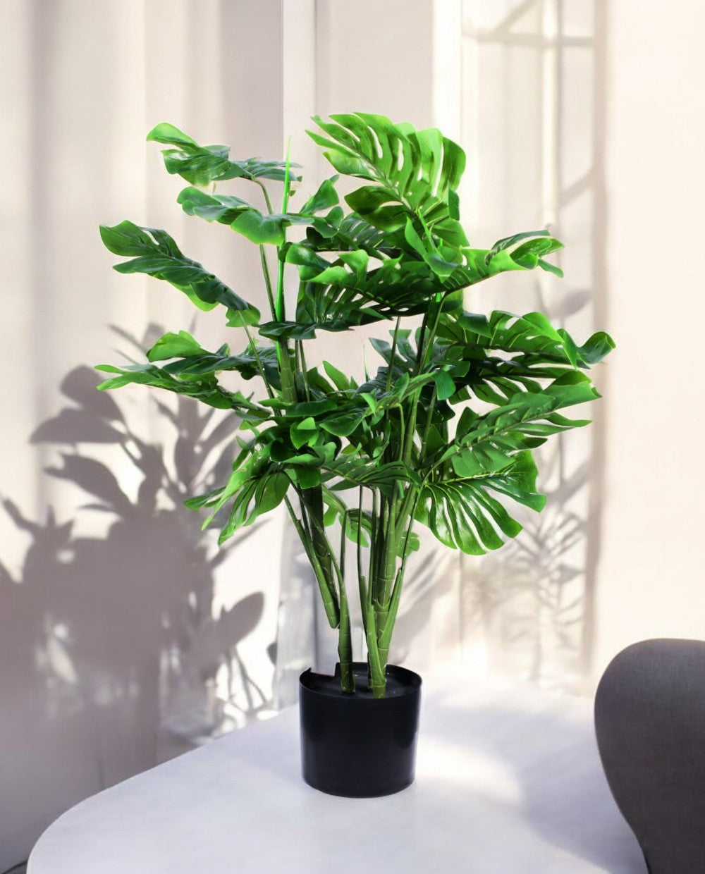 MONSTERA 90cm 19562(a) (2)