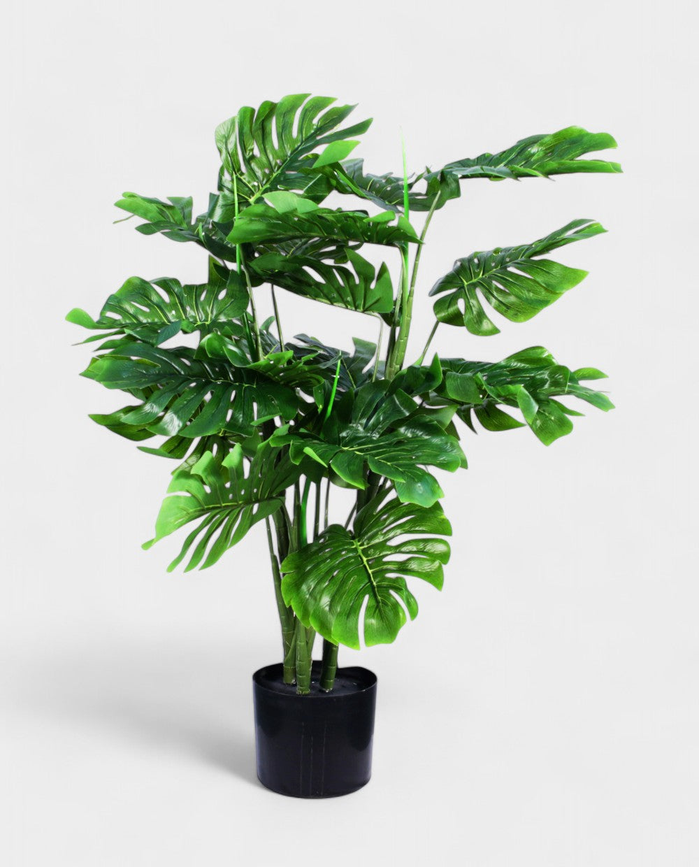 MONSTERA 90cm 19562(b) (3)