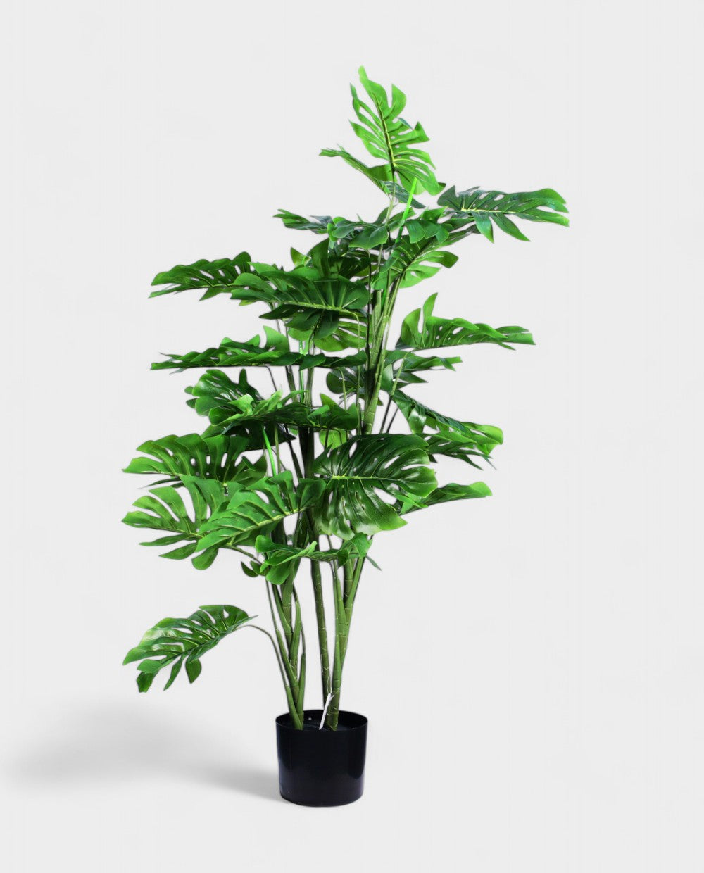 MONSTERA 120cm 19563(b) (3)