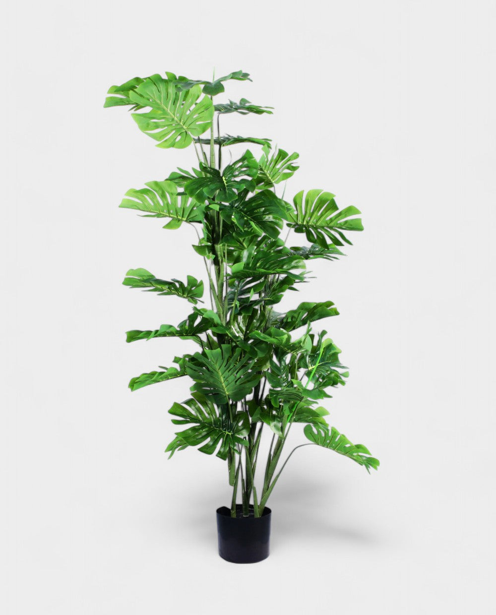 MONSTERA 150cm 19564(a) (3)