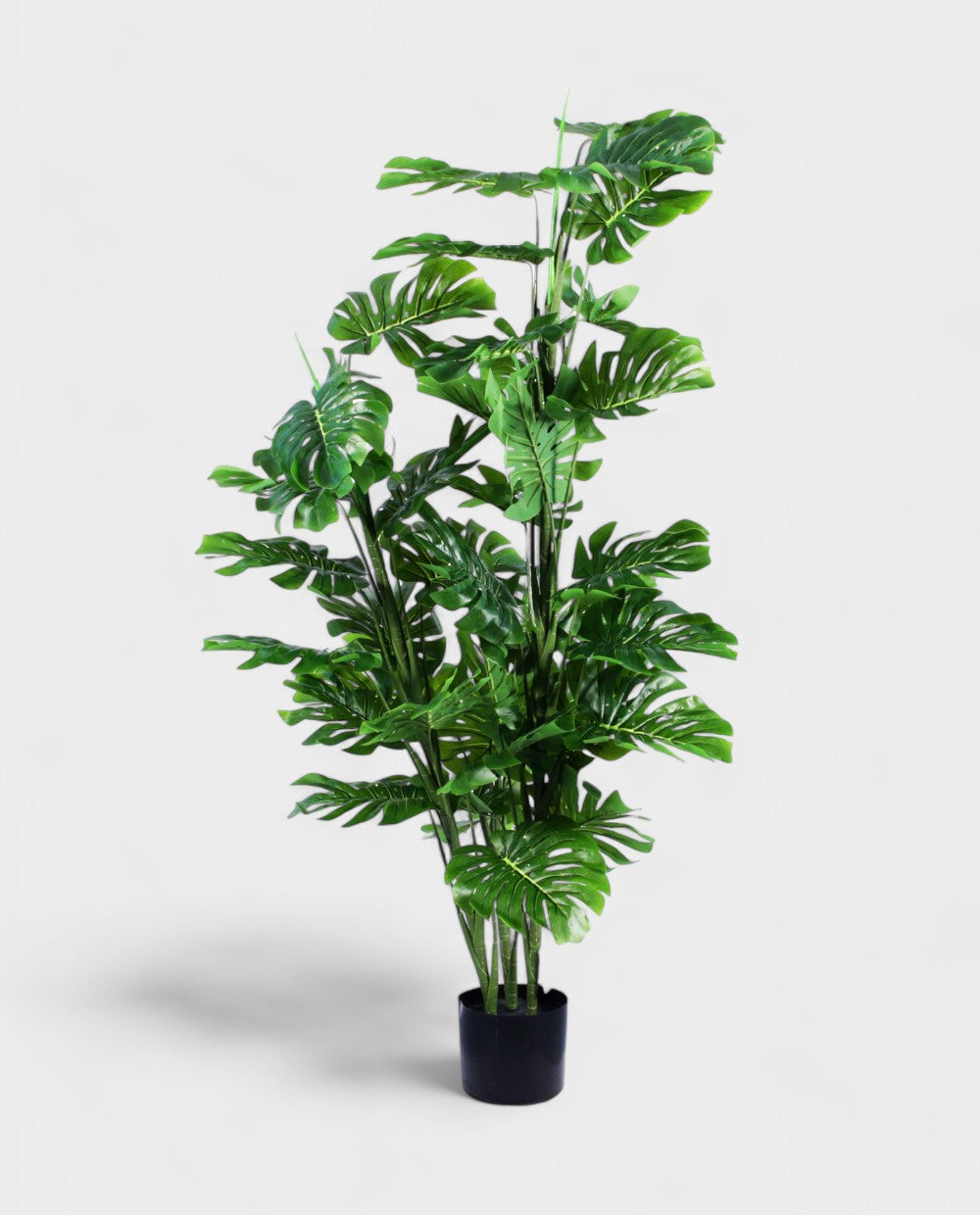 MONSTERA 150cm 19564(b) (3)