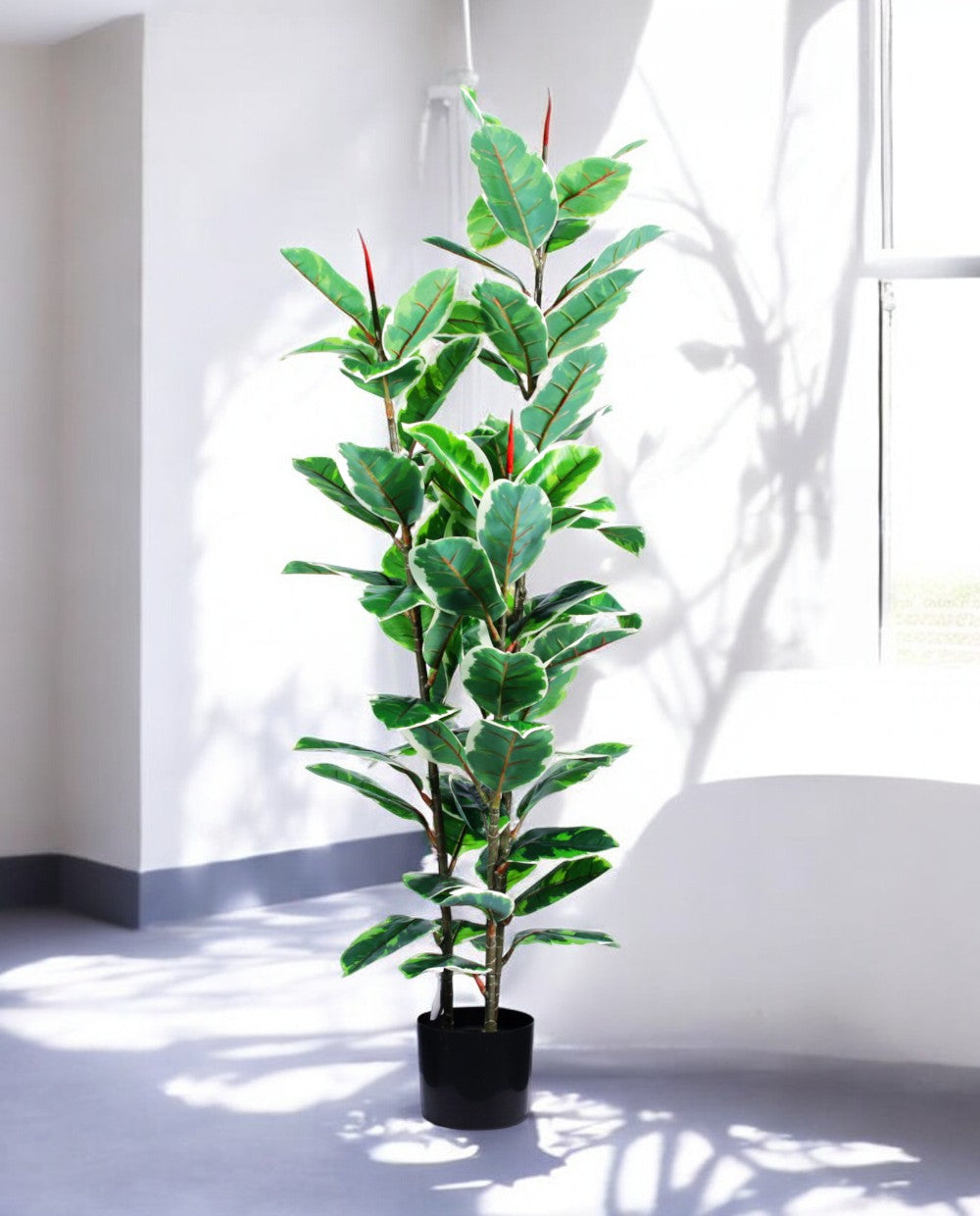 FICUS RUBBER VARIEGATA TREE 130cm 19344(b) (3)