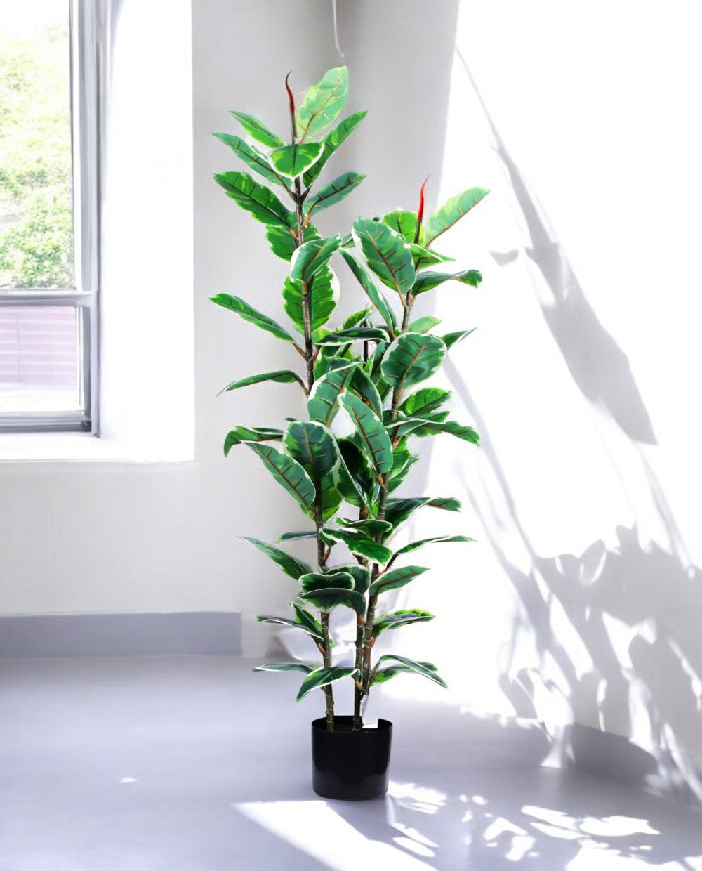 FICUS RUBBER VARIEGATA TREE 130cm 19344(a) (3)