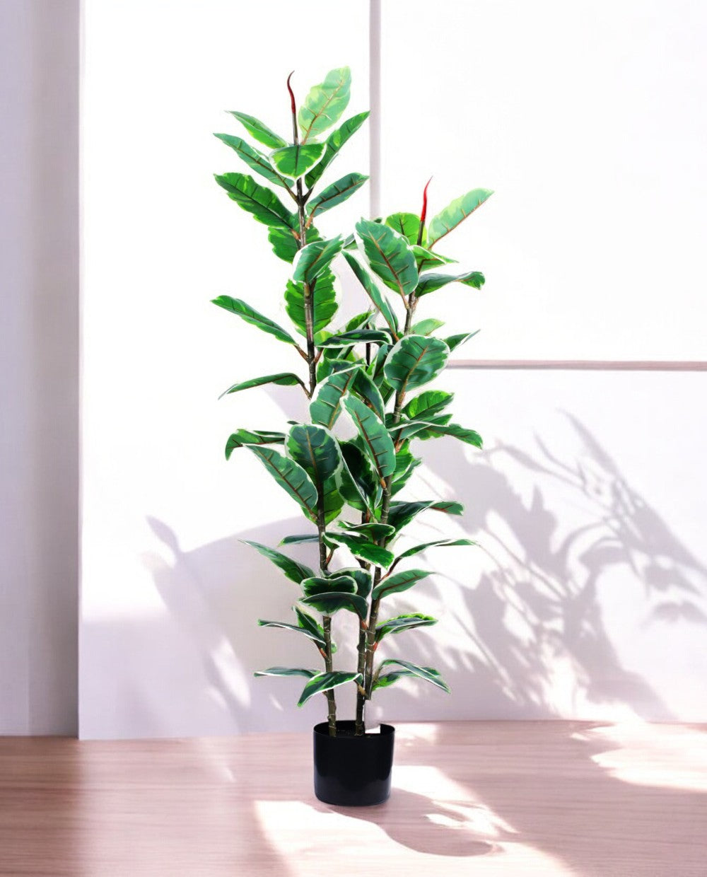 FICUS RUBBER VARIEGATA TREE 130cm 19344(a)