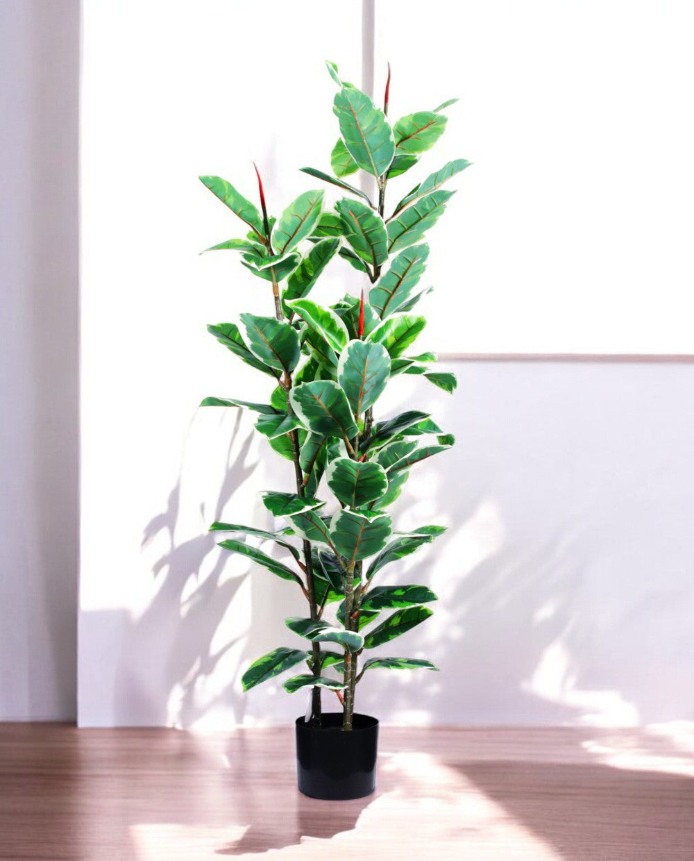 FICUS RUBBER VARIEGATA TREE 130cm 19344(b)