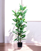 FICUS RUBBER VARIEGATA TREE 130cm 19344(b)