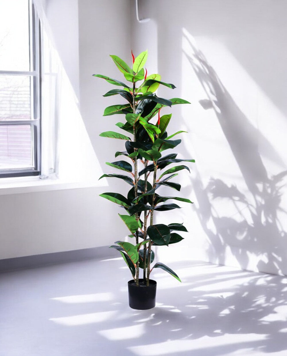 FICUS RUBBER VARIEGATA TREE 130cm 19344(c) (3)