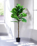 FIDDLE LEAF one 150cm 19511(a) (3)
