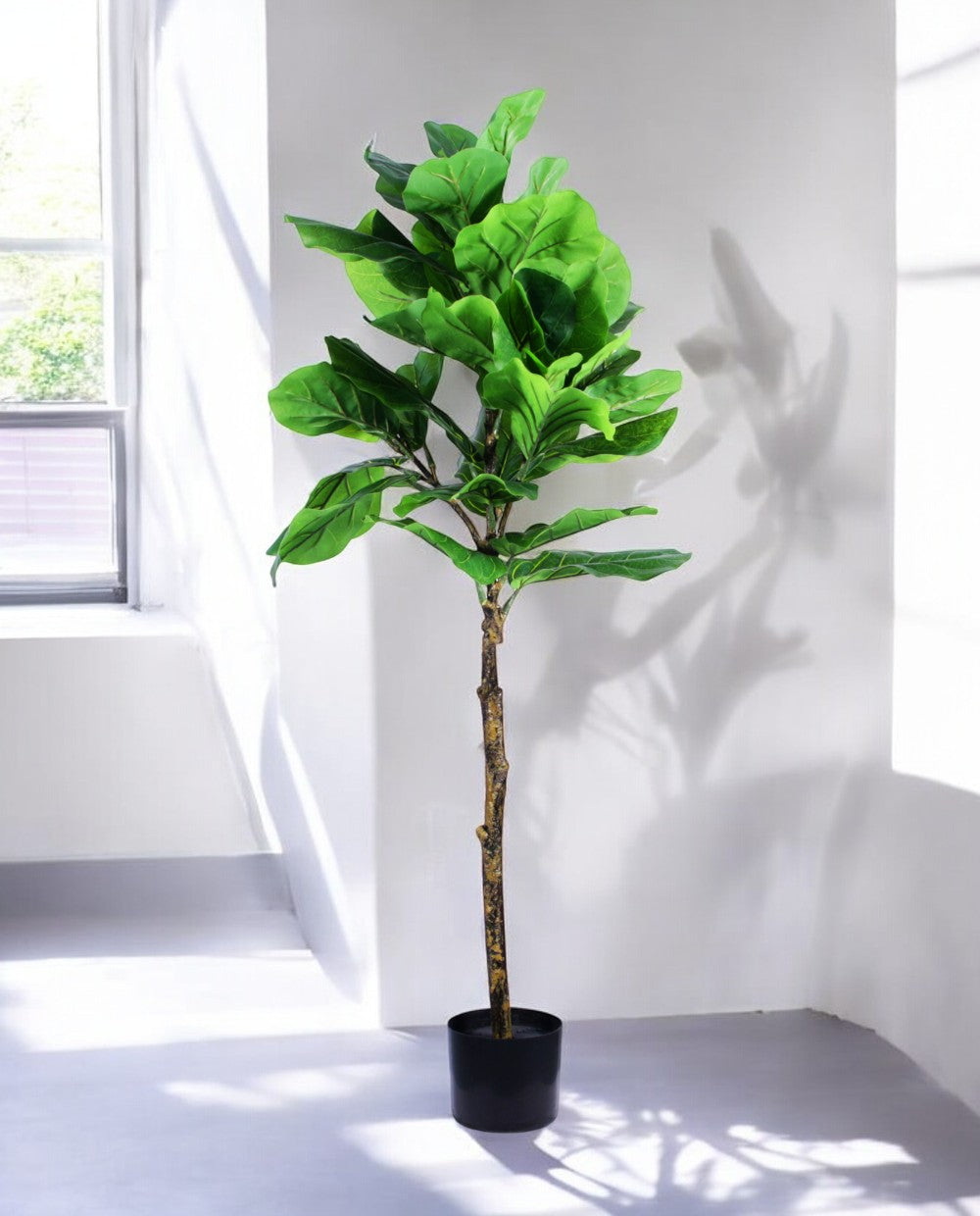 FIDDLE LEAF one 150cm 19511(b) (3)