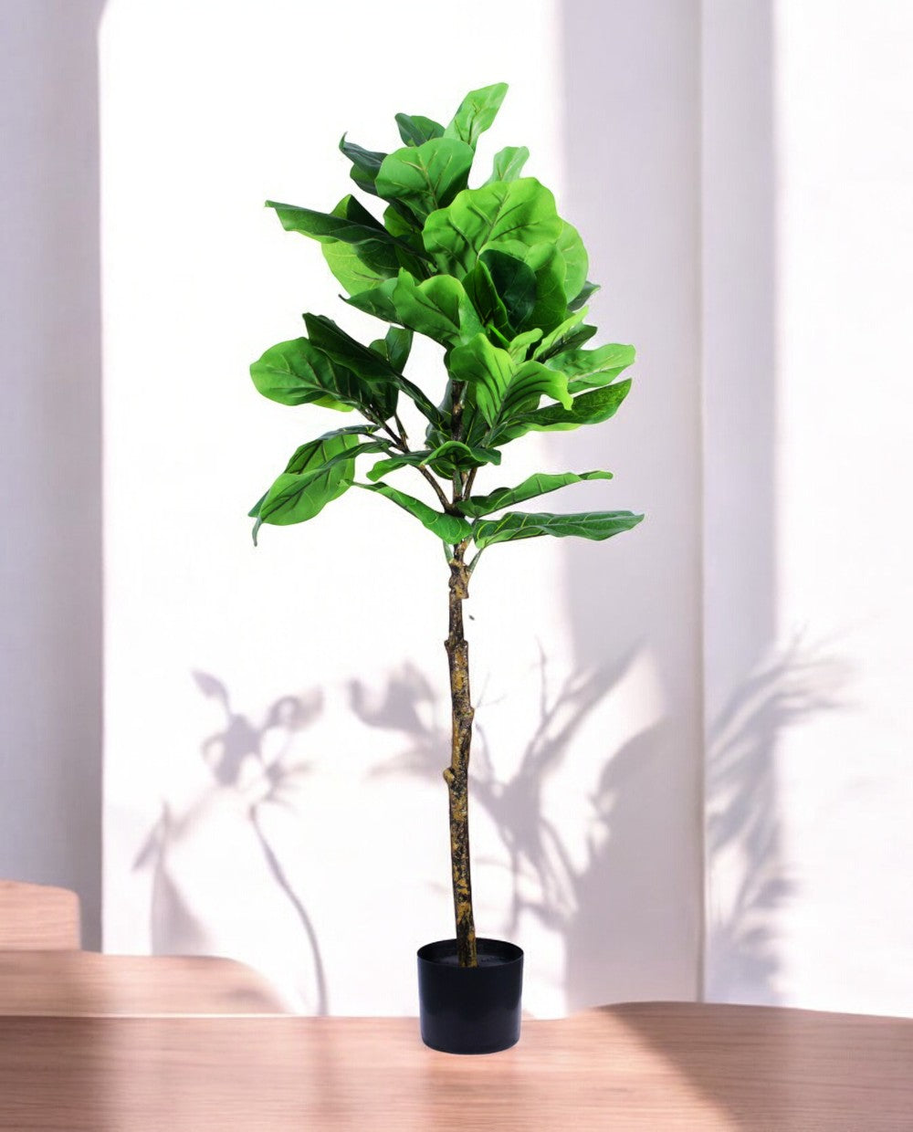 FIDDLE LEAF one 150cm 19511(b)
