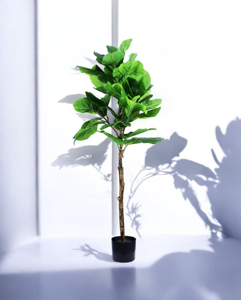 FIDDLE LEAF one 150cm 19511(c) (2)