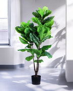 FIDDLE LEAF two 120cm 19583(a) (3)