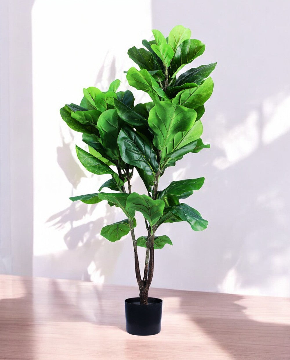 FIDDLE LEAF two 120cm 19583(a)