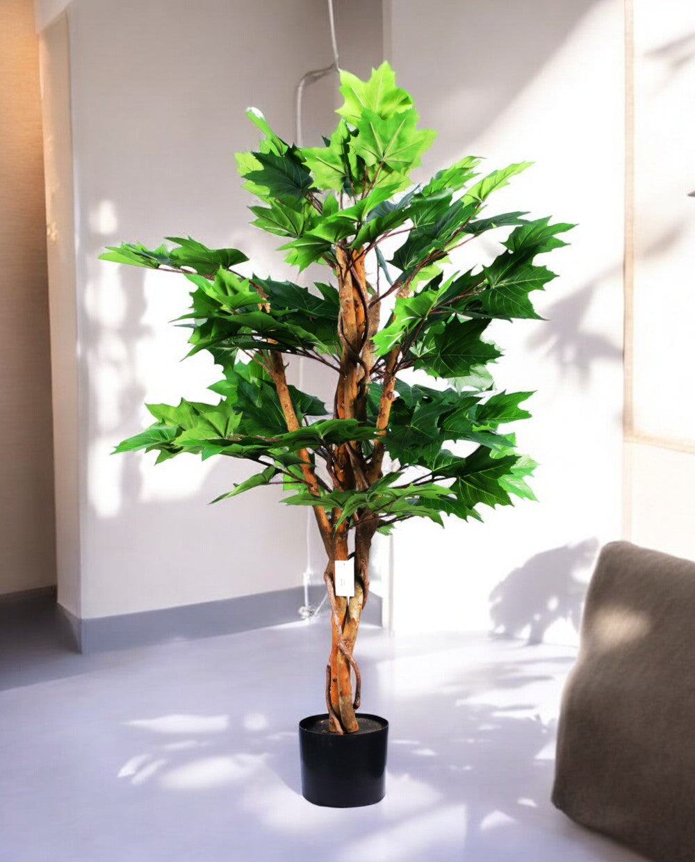 MAPLE TREE 120cm 19568(a) (3)