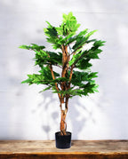 MAPLE TREE 120cm 19568(a)