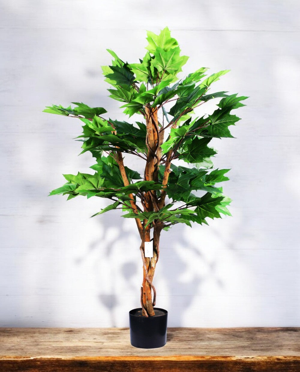 MAPLE TREE 120cm 19568(a)
