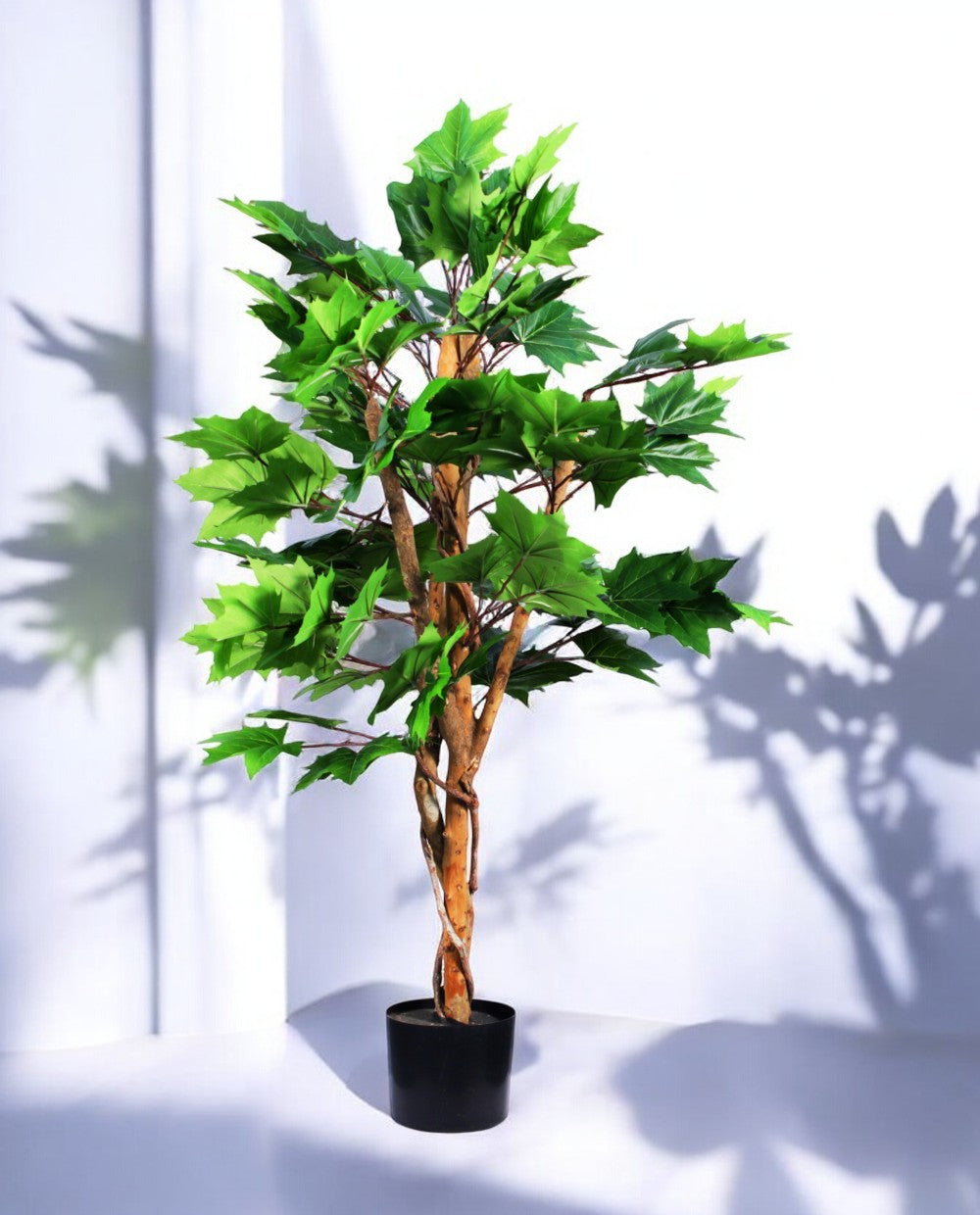 MAPLE TREE 120cm 19568(b) (2)