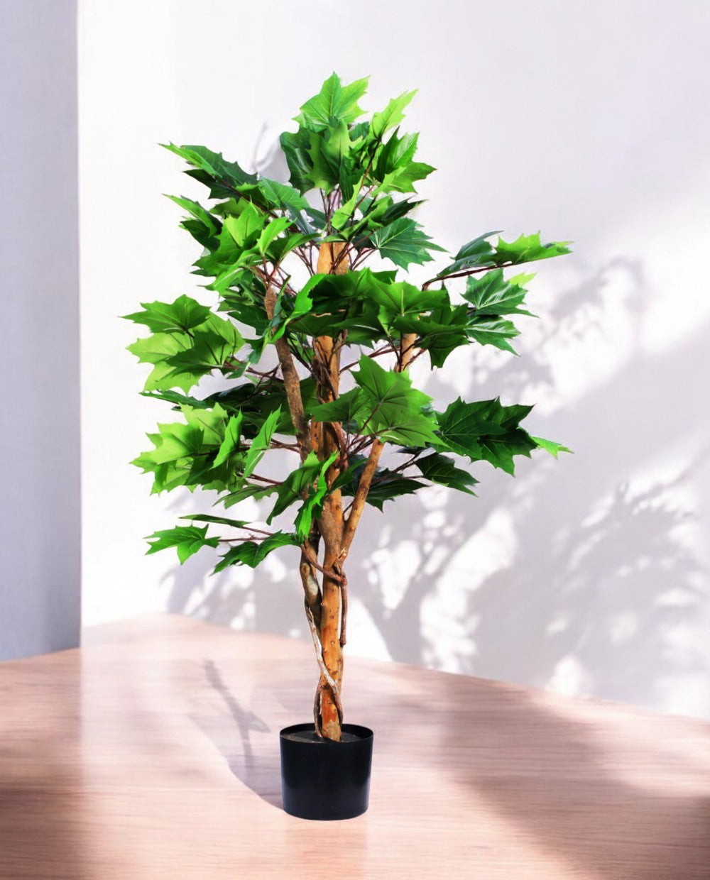 MAPLE TREE 120cm 19568(b)