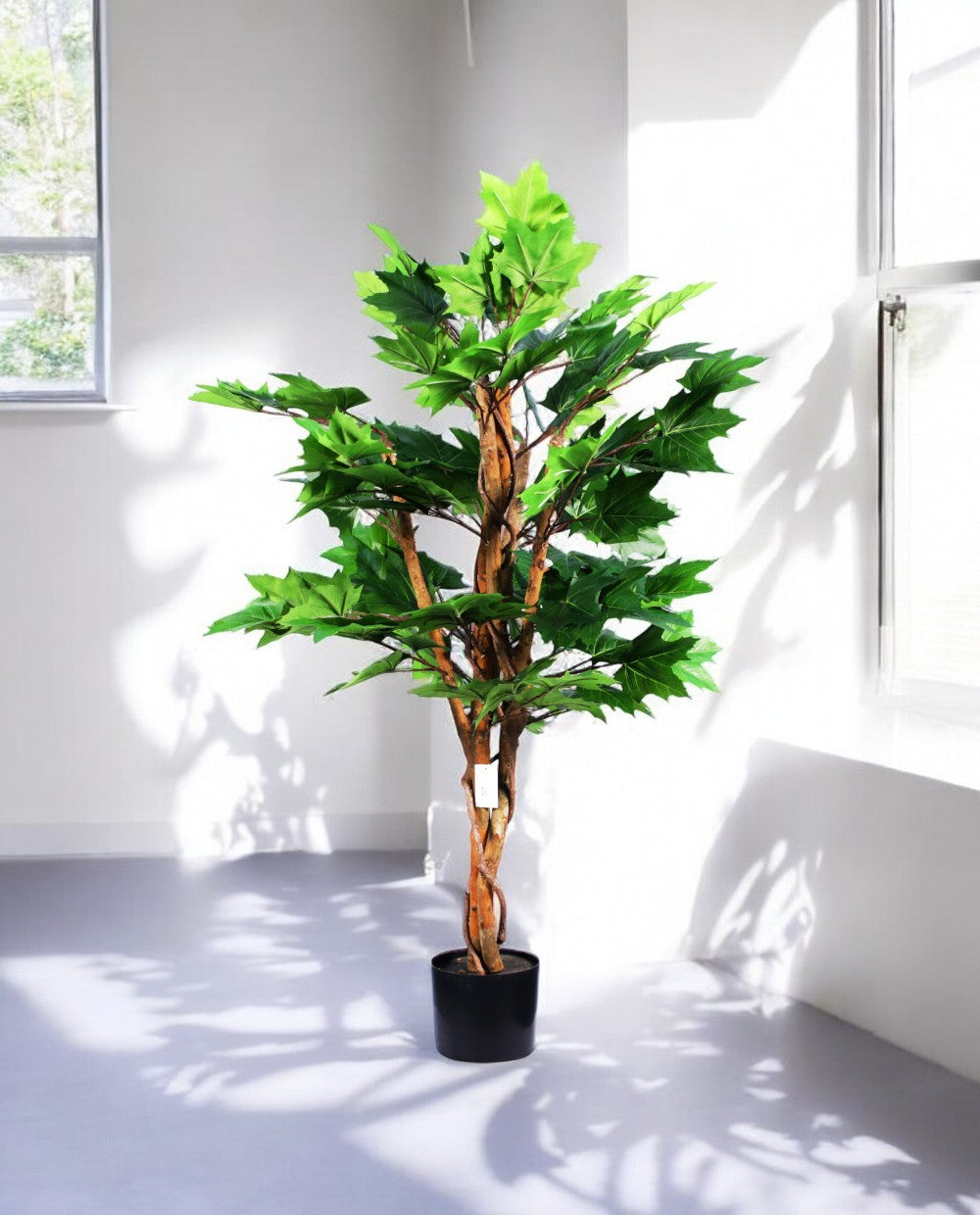 MAPLE TREE 120cm 19568(c) (3)