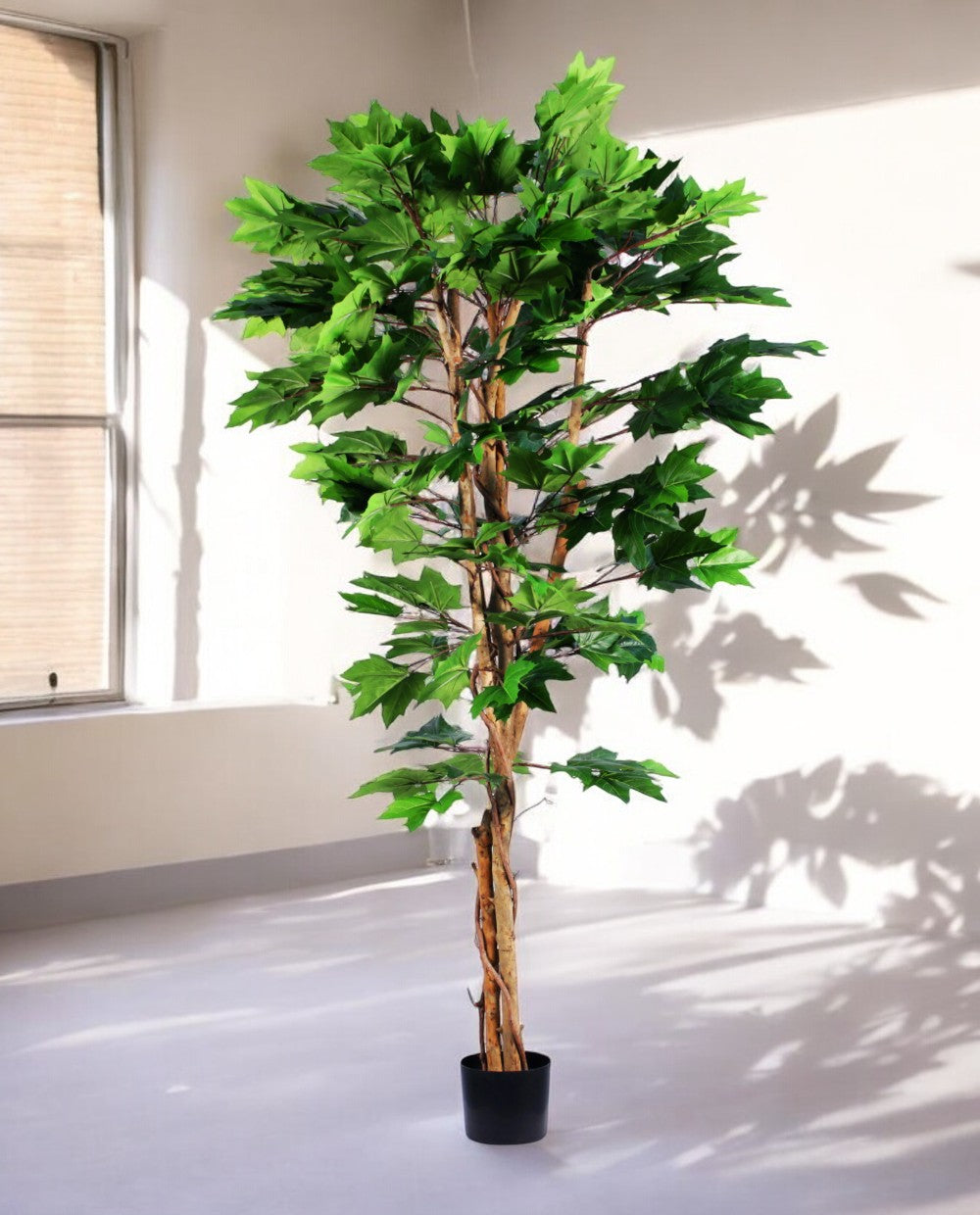 MAPLE TREE 180cm 19570(a) (3)