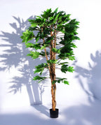 MAPLE TREE 180cm 19570(b) (2)