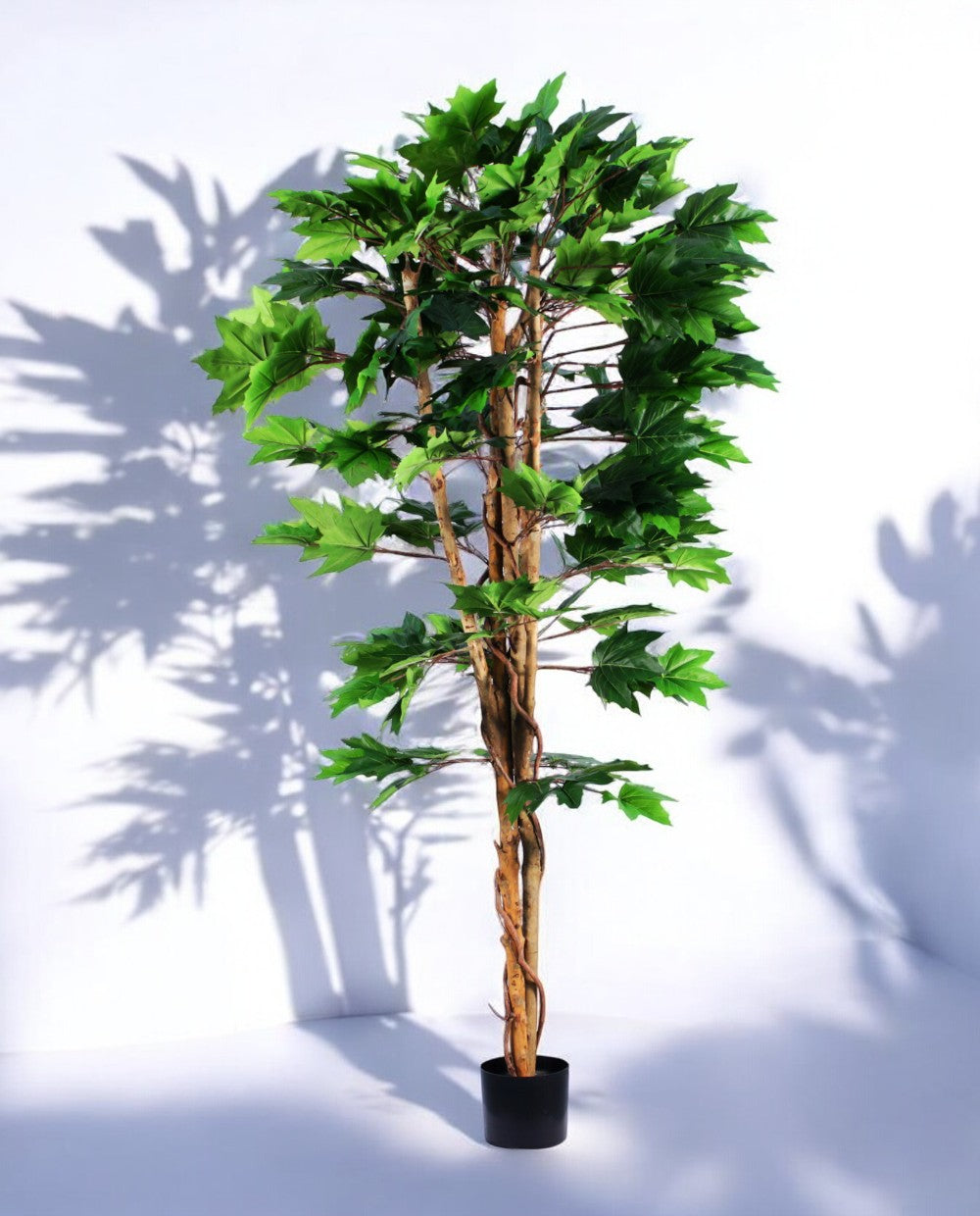 MAPLE TREE 180cm 19570(b) (2)
