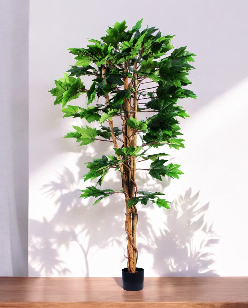 MAPLE TREE 180cm 19570(b)